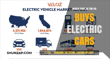Where in the U.S. Are Electric Cars Most Popular?