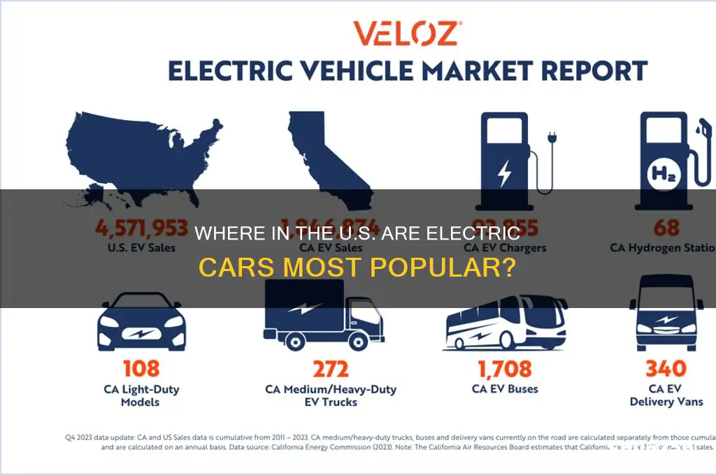 which part of the us buys electric cars