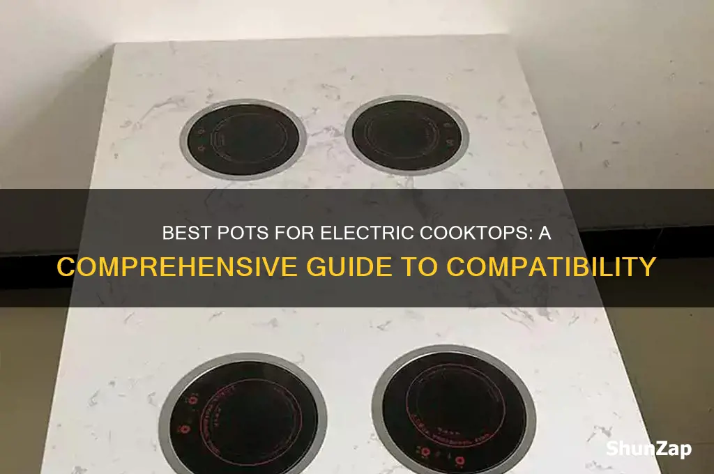 which pots use for electric cooktop
