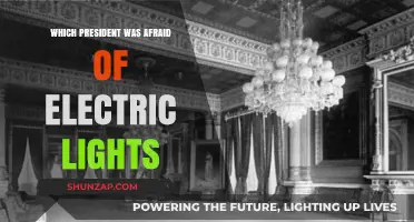 The President Who Feared Electric Lights