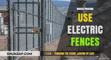 Electric Fences in Prisons: Which Facilities Use This Security Measure?