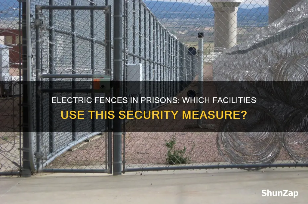 which prisons use electric fences