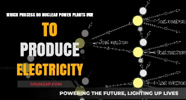 How Nuclear Power Plants Generate Electricity: The Fission Process Explained