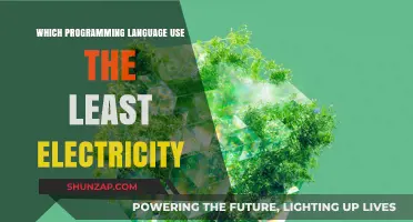 Energy-Efficient Coding: Which Programming Language Uses the Least Electricity?