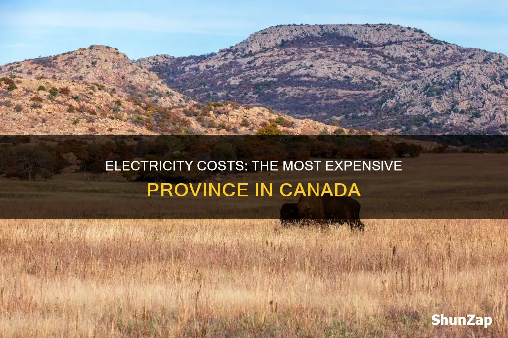 which province pays the most for electricity