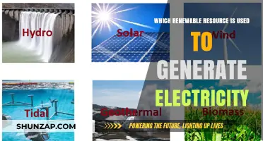 Exploring Renewable Resources: Which One Powers Our Electricity Generation?
