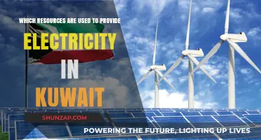 Kuwait's Electricity Generation: Exploring the Key Resources and Energy Sources