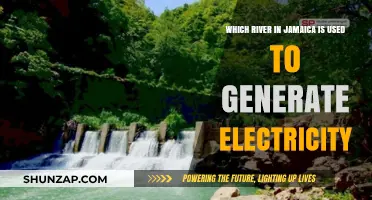 Jamaica's Hydropower Source: Which River Powers the Island's Electricity?