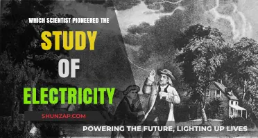 Pioneering Electricians: Unveiling Electricity's Early Trailblazers