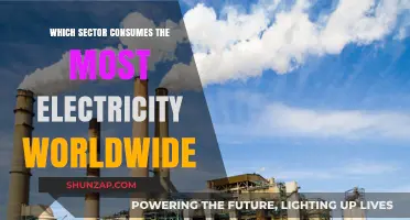 Energy-Intensive Sectors: Electricity Consumption Leaders