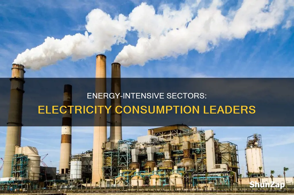 which sector consumes the most electricity worldwide