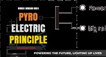 Pyroelectric Sensors: How They Work and Their Applications Explained