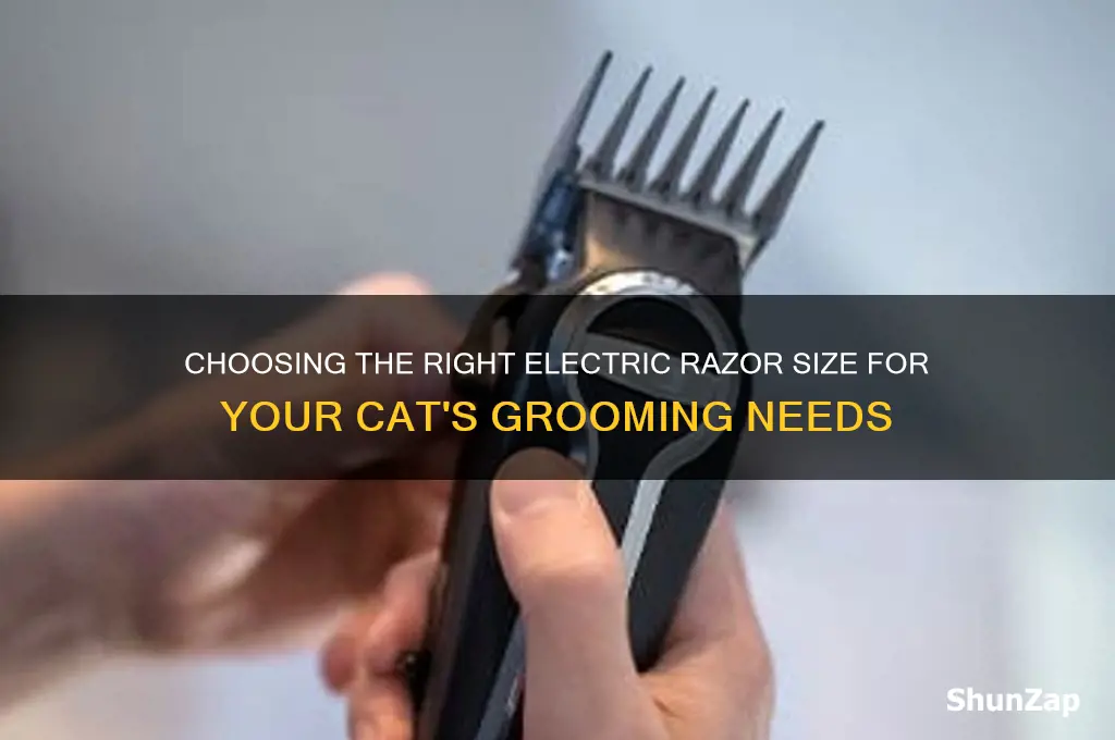which size of electric razor do i use for cats