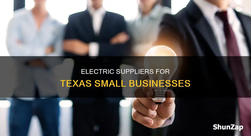which small business electric supplier in texas
