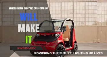 Which Small Electric Car Company Will Survive the EV Revolution?