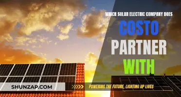 Costo's Solar Power Partner: Unlocking Renewable Energy Potential