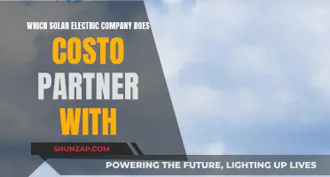 Costco's Solar Electric Partnership: Who's Their Energy Companion?