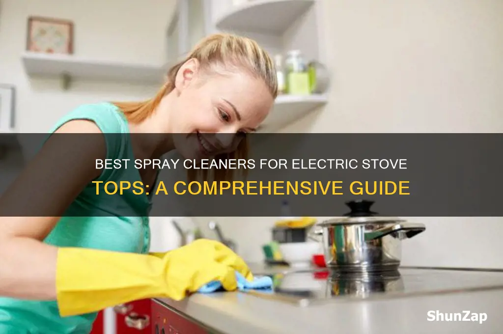which spray to use for cleaning electric stove top