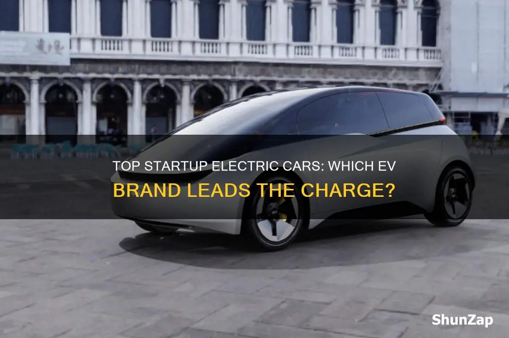 which startup electric car is the best
