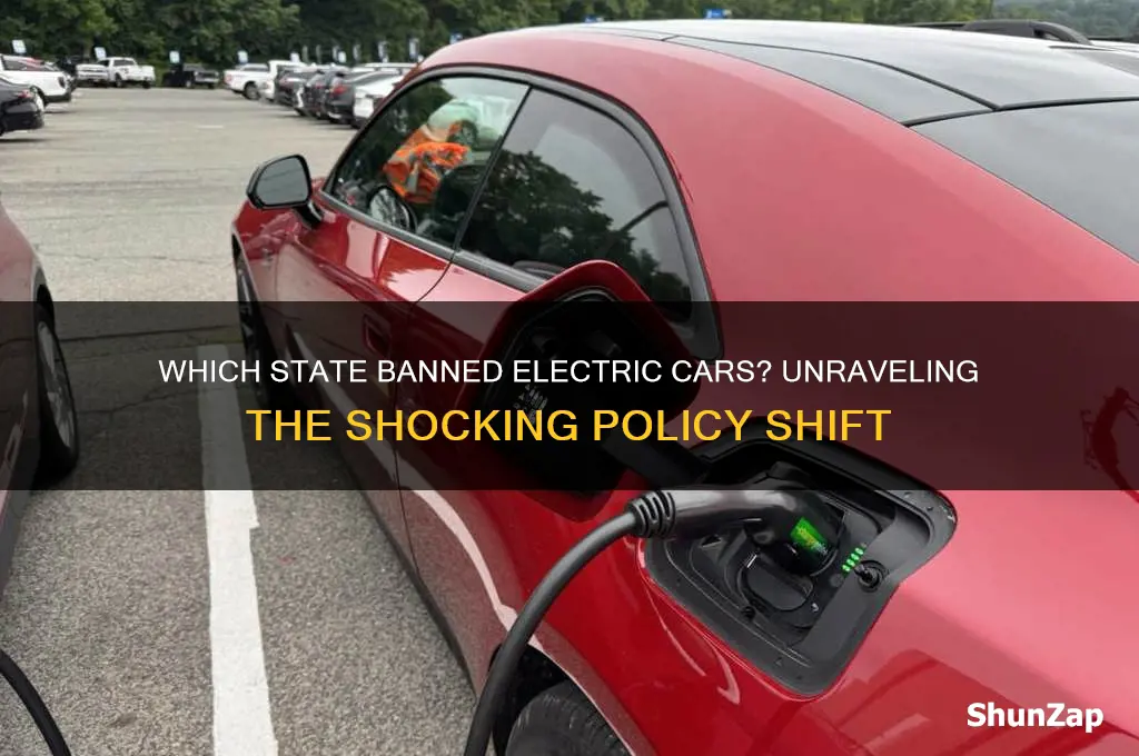 which state banned electric cars