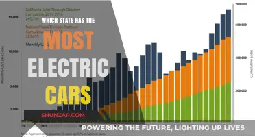 Leading the Charge: Which U.S. State Tops Electric Car Ownership?