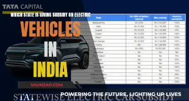 Indian States' EV Subsidy Race: Who's Leading the Charge?