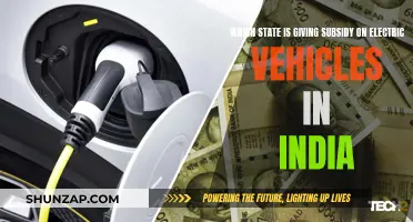 Electric Vehicle Revolution: States Offering Subsidies in India