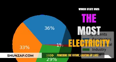 America's Power Consumption Leader: Which State Uses the Most Electricity?