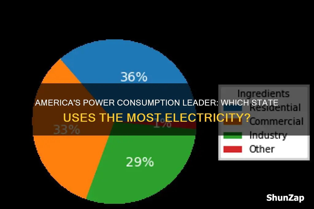 which state uses the most electricity