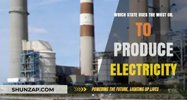 Which U.S. State Relies Most on Oil for Electricity Generation?