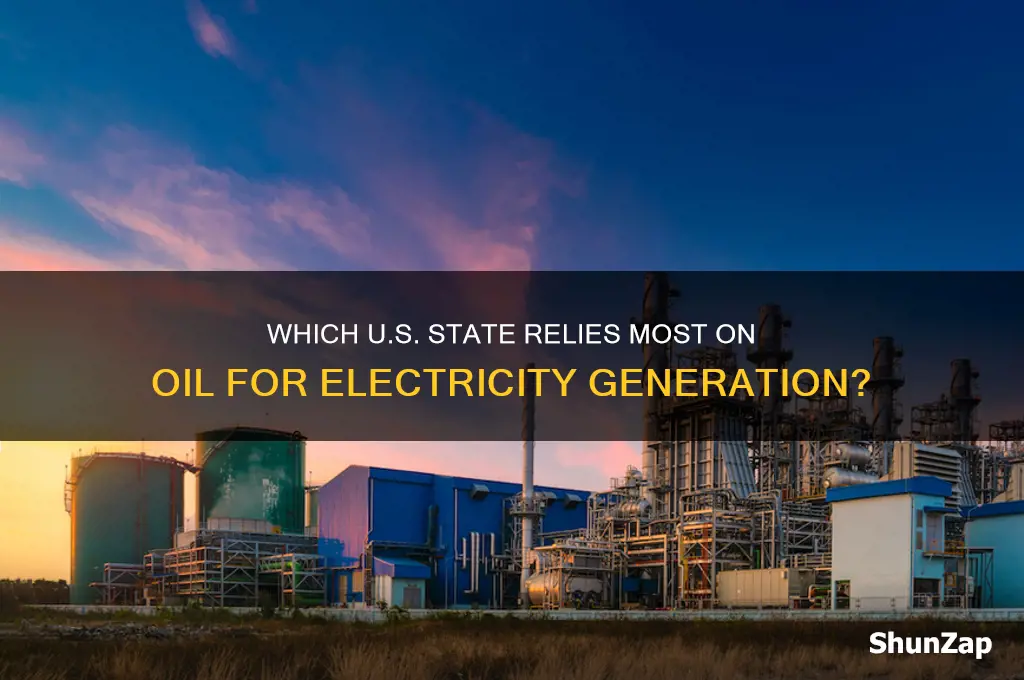 which state uses the most oil to produce electricity