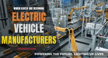 The Race to Become EV Leaders
