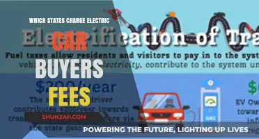 Electric Car Buyer Fees: Which States Charge Extra?