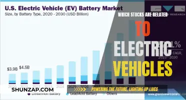 Uncover the Top Stocks in the Electric Vehicle Revolution