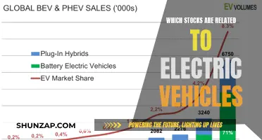 Electric Vehicle Revolution: Stocks to Watch and Invest