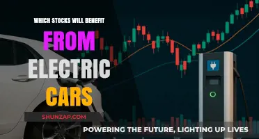 Electric Vehicle Revolution: Top Stocks Poised to Surge in the EV Era