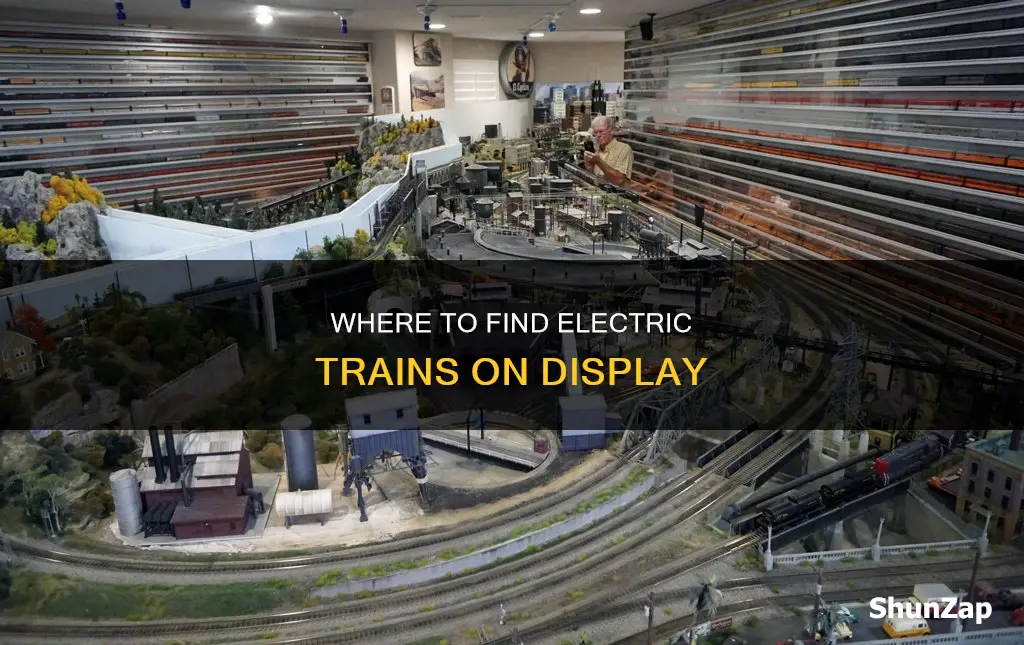 which stores have electric trains set up