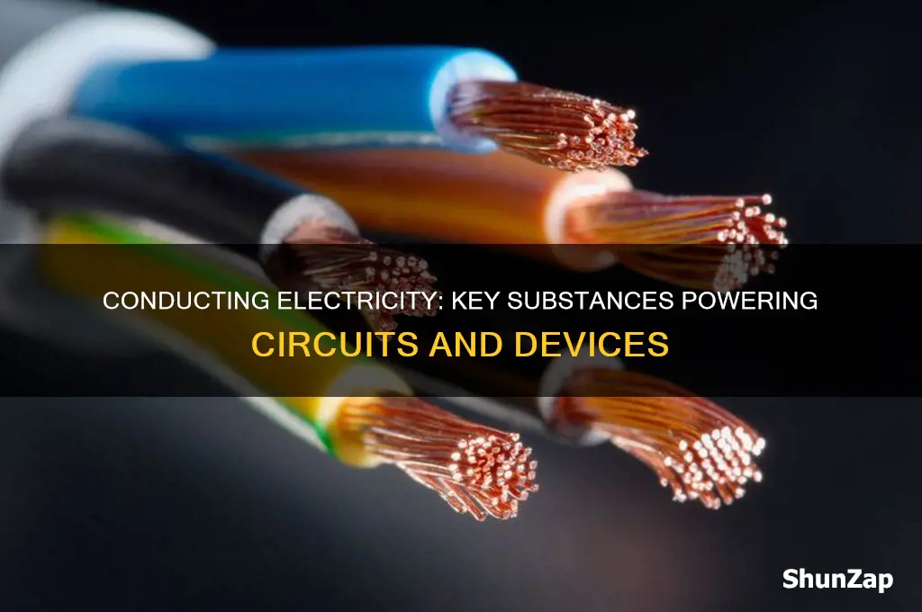 which substance is used to conduct electricity in a circuit