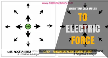 Electric Force: The Unique, Powerful, and Influential Force