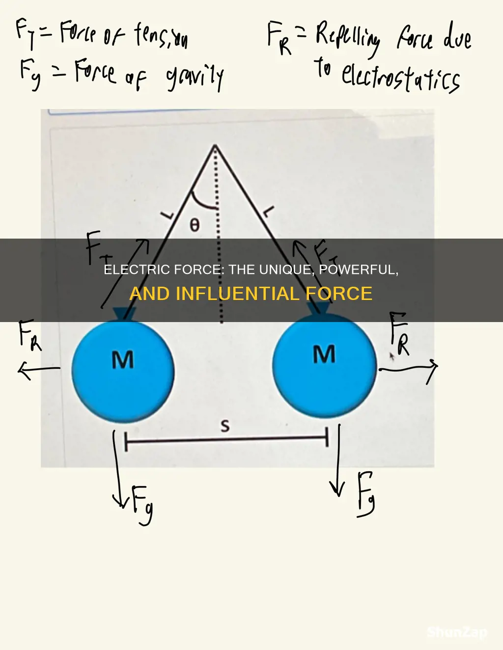 which term only applies to electric force