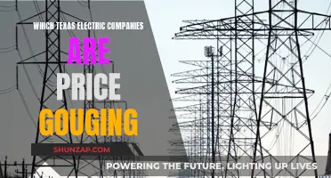 Unveiling Texas' Price-Gouging Power Companies: A Consumer's Guide