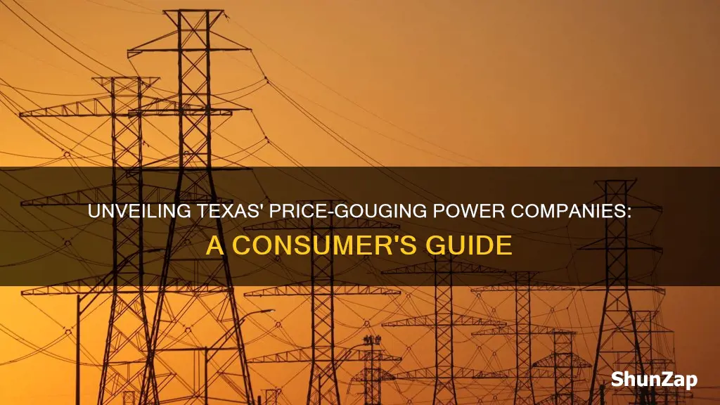 which texas electric companies are price gouging