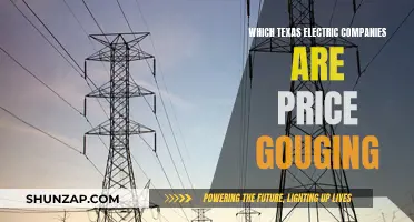 Texas Electric Companies: Exposing Price Gouging Schemes