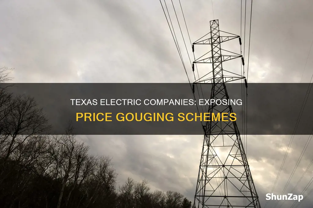 which texas electric companies are price gouging