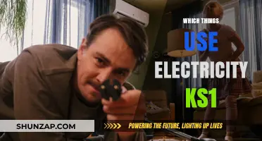 Electricity Around Us: KS1 Guide to Everyday Power Users