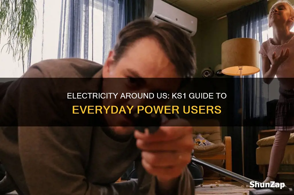 which things use electricity ks1