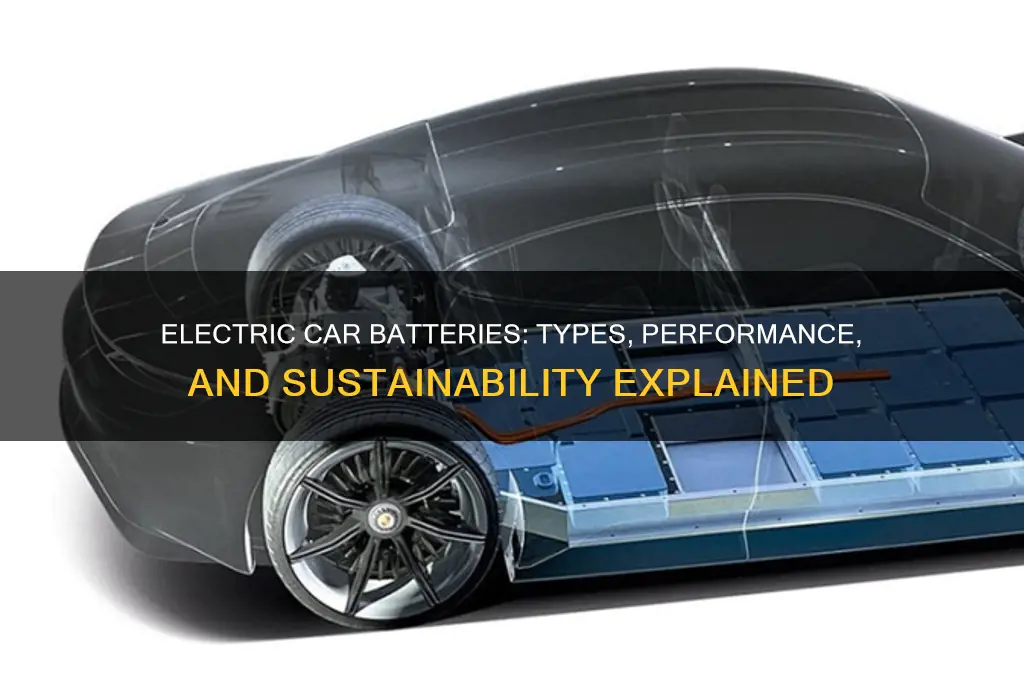 which type of batteries are used in electric cars