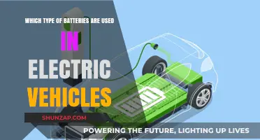Exploring the Best Battery Types Powering Today's Electric Vehicles