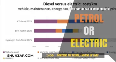 Petrol vs. Electric Cars: Which is More Efficient for You?