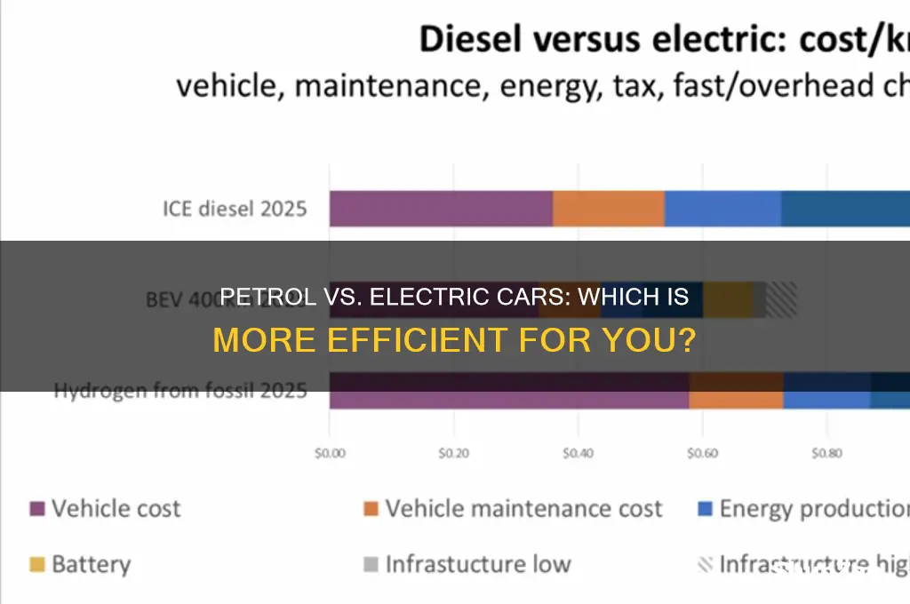 which type of car is more efficient petrol or electric